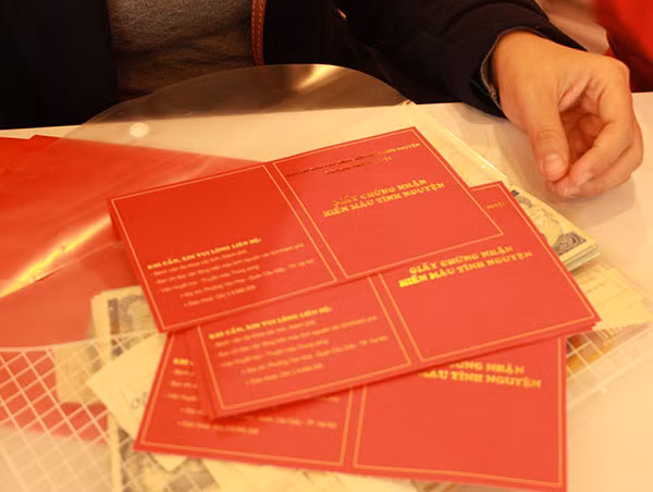 Tưng bừng lễ hội Xuân hồng lần thứ IX tại Hà Nội ảnh 12