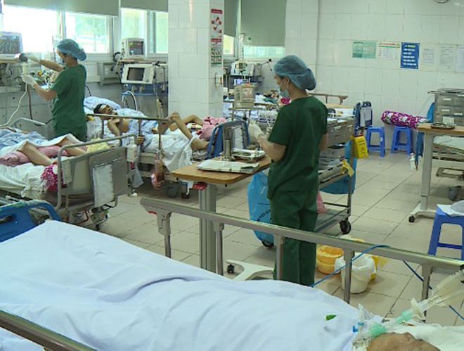 Theo thống kê sơ bộ, hàng năm có hàng trăm ca nhập viện do nhiễm liên cầu khuẩn lợn