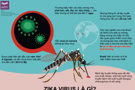 Bệnh nhân nhiễm Zika tại TP Hồ Chí Minh đang mang thai 8 tuần