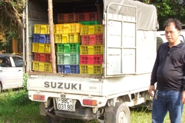 Chặn vụ vận chuyển 16.000 con gà giống nhập lậu