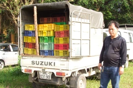 Bắt giữ xe ôtô vận chuyển 16.000 con gà giống nhập lậu 