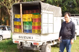 Bắt giữ xe ôtô vận chuyển 16.000 con gà giống nhập lậu 