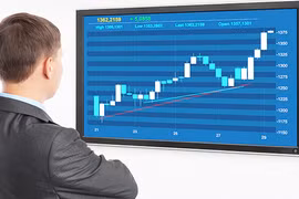 NHNN cảnh báo việc kinh doanh sàn Forex