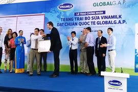 Trang trại bò sữa đầu tiên tại Đông Nam Á được chứng nhận đạt tiêu chuẩn quốc tế