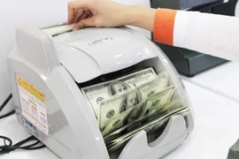 Tín dụng ngoại tệ tăng nằm trong tính toán của NHNN