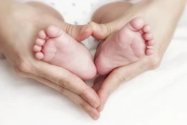 Cho vay tín chấp để... sinh em bé