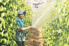 WB tài trợ 390 triệu USD hỗ trợ công cuộc giảm nghèo