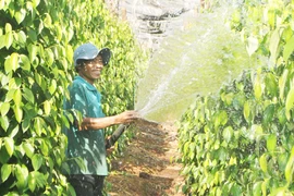 WB tài trợ 390 triệu USD hỗ trợ công cuộc giảm nghèo