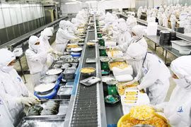 Tiền bắt đầu “rót” vào mô hình sản xuất liên kết, công nghệ cao