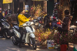 Yêu cầu cán bộ không “đi Tết” lãnh đạo