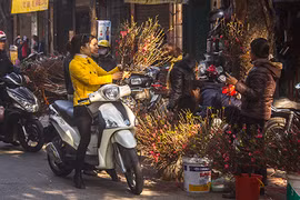 Yêu cầu cán bộ không “đi Tết” lãnh đạo