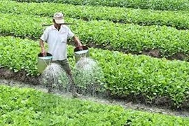 Bộ Y tế yêu cầu làm rõ vụ cung cấp rau "bẩn" cho 7 trường tiểu học