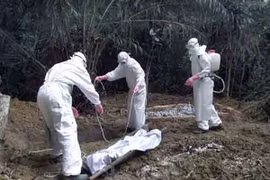 CDC đang “ém nhẹn” mức độ đe dọa của Ebola đối với nước Mỹ!