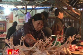 Đảm bảo vệ sinh an toàn thực phẩm cho Tết Nguyên đán