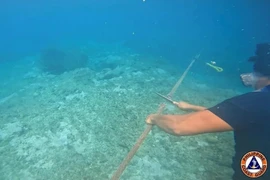 Philippines nói Trung Quốc thu về 'hàng rào nổi' trên Biển Đông sau khi bị cắt đứt