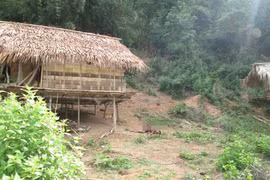 Bắt nghi phạm giết hại dã man 4 người trong một gia đình ở Nghệ An