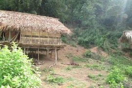 Bắt nghi phạm giết hại dã man 4 người trong một gia đình ở Nghệ An