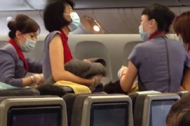 Khai man để lên máy bay sang Mỹ sinh con, người phụ nữ bị phạt nặng