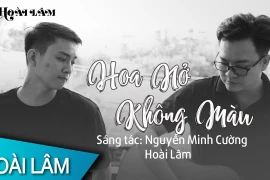Lý do "Hoa nở không màu" không được xét tranh giải Mai Vàng 2020