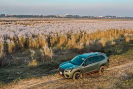 Cơ quan điều tra vào cuộc vụ nhóm thanh niên thu tiền tại...bãi cỏ lau ở Ba Vì