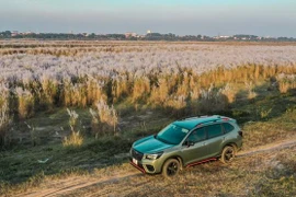 Cơ quan điều tra vào cuộc vụ nhóm thanh niên thu tiền tại...bãi cỏ lau ở Ba Vì