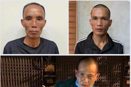 Nhóm đối tượng chuyên trộm cây cảnh giá trị cao sa lưới