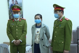 Khởi tố vụ buôn lậu pin năng lượng mặt trời trị giá hàng trăm tỷ đồng