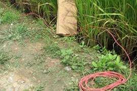 Hà Nội: Dùng điện để bẫy chuột ở ruộng lúa khiến một người đàn ông tử vong