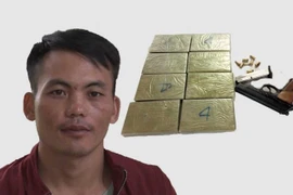 Thủ súng đạn, vận chuyển liên tỉnh 8 bánh heroin 