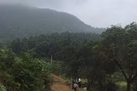 Ngăn chặn nguy cơ cháy rừng trên địa bàn huyện Thạch Thất