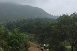 Ngăn chặn nguy cơ cháy rừng trên địa bàn huyện Thạch Thất