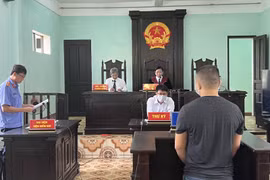 Lái xe 'thông chốt' bị tuyên phạt 8 tháng tù giam