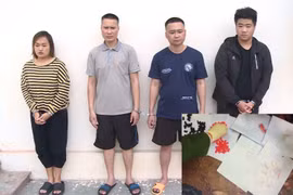 Nữ quái lôi kéo cả gia đình cùng buôn ma túy