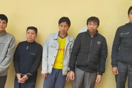 Chủ nhà hàng câu kết với kẻ xấu trộm hàng chục trâu bò dắt vào rừng xẻ thịt