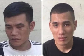 Hai gã 'nghiện' dùng cuốc đập kính xe ô tô trộm tài sản