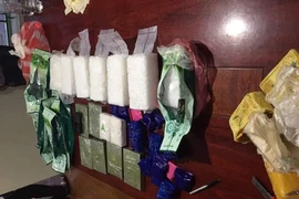 Bắt giữ đối tượng tàng trữ số lượng ma túy cực 'khủng'