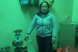 Khởi tố người phụ nữ buôn bán mì chính, dầu gội giả