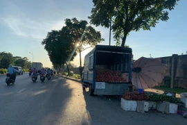 [Ảnh] Đại lộ hiện đại nhất Việt Nam biến thành... chợ