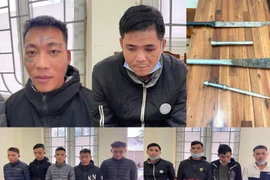 Kẻ côn đồ 'điều' 10 đàn em đập phá cây cảnh