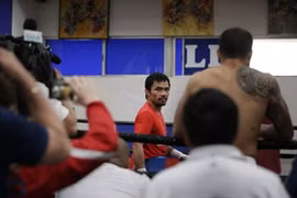 Manny Pacquiao sẵn sàng cho “trận đấu thế kỷ” với Mayweather