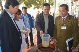 Hà Nội: Quán cơm bán rượu chứa methanol vượt ngưỡng hơn 2.000 lần