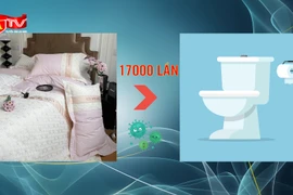 Vỏ gối chứa lượng vi khuẩn gấp 17.000 lần so với bồn cầu