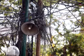 Kỳ lạ những trụ cột điện “lớn lên” theo thời gian