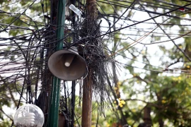 Kỳ lạ những trụ cột điện “lớn lên” theo thời gian