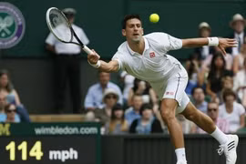 Wimbledon 2014: Các hạt giống hàng đầu nhẹ nhàng giành vé đi tiếp