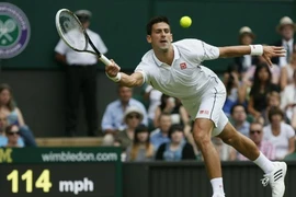 Wimbledon 2014: Các hạt giống hàng đầu nhẹ nhàng giành vé đi tiếp