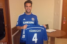 Fan Arsenal phẫn nộ trước thông tin Cesc Fabregas gia nhập Chelsea