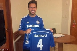 Fan Arsenal phẫn nộ trước thông tin Cesc Fabregas gia nhập Chelsea