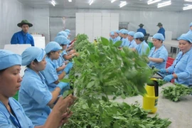 Tạm dừng xuất khẩu 5 loại rau quả sang EU