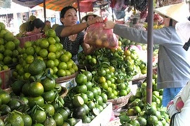 Đừng để lỡ cơ hội mua cam Việt Nam giá rẻ 